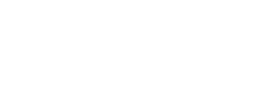 APDISA